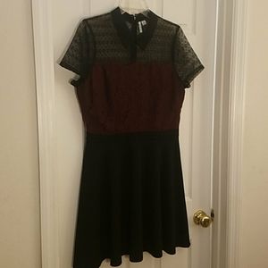 Elle Lace Skater Dress with Collar